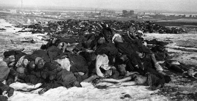 Погибшие немцы в Сталинградском котле. Февраль 1943 г.