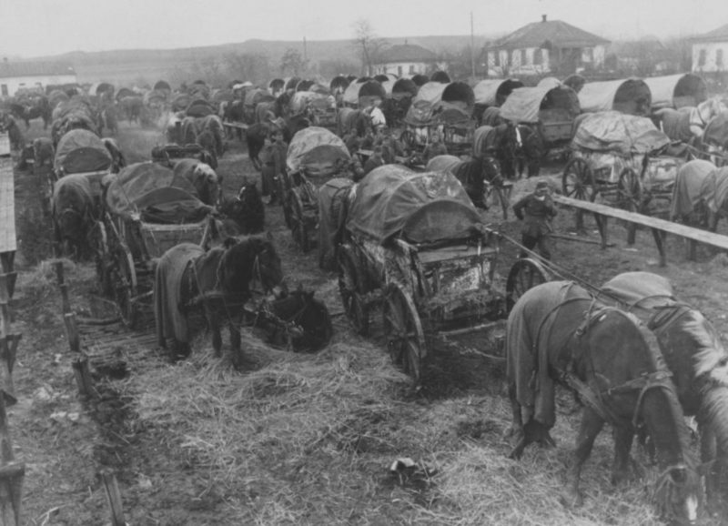 Фургоны немецкого обоза в окружении под Черкассами. Ноябрь 1943 г.