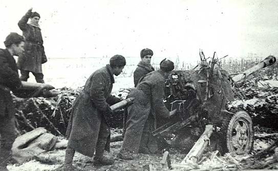 Советские артиллеристы у города. Январь 1944 г. 