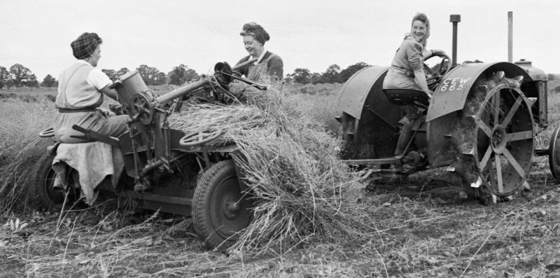 Сотрудницы (WLA) Женской сельскохозяйственной армии на работах. 1942 г.