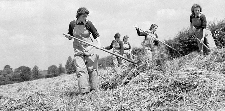 Сотрудницы (WLA) Женской сельскохозяйственной армии на работах. 1942 г.