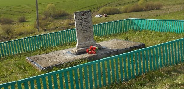 д. Борисовка Тепло-Огаревского р-на. Памятник воинам, погибшим в годы войны.