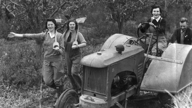 Женщины из AWLA за работой. 1943 г.