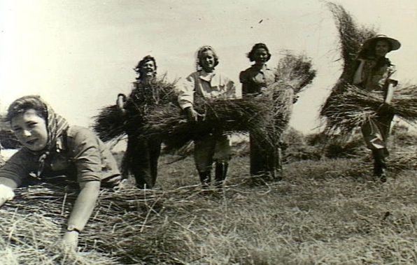 Женщины из AWLA за работой. 1943 г.