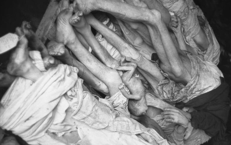 Дети, умершие с голода. Май 1941 г.