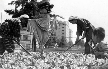 Женщины обрабатывают грядки. Токио, 1944 г. 