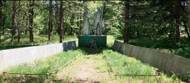 д. Стрикино Арсеньевского р-на. Памятник, установленный на братской могиле, в которой похоронены советские воины, погибшие в годы войны.