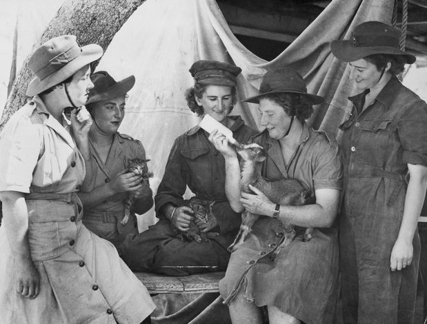 Лагерь AWAS. Квинсленд 1944 г. 