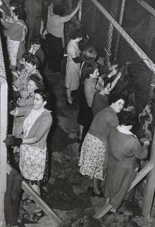 Женщины плетут камуфляжные сети для армии, Брисбен. Сентябрь 1942 г.