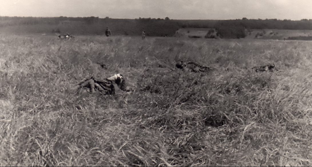 Убитые красноармейцы на поле боя. 8 сентября 1941 г.