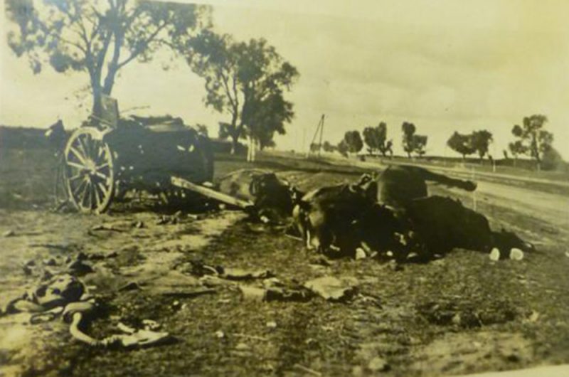 Погибшие конные упряжки советских артиллерийских орудий. Сентябрь 1941 г.