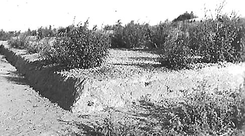 Массовое захоронение загубленных оккупантами горожан на Песчаной горе. 1943 г. 
