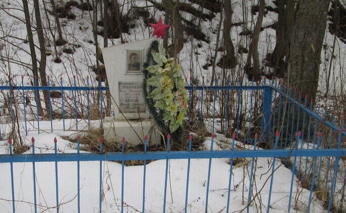 д. Фошня Демидовского р-на. Братская могила двух советских летчиков, погибших в 1942 году в боях с оккупантами.
