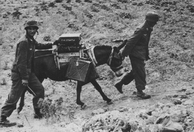 Немецкие парашютисты на Крите перевозят снаряды для орудий. Май 1941 г.