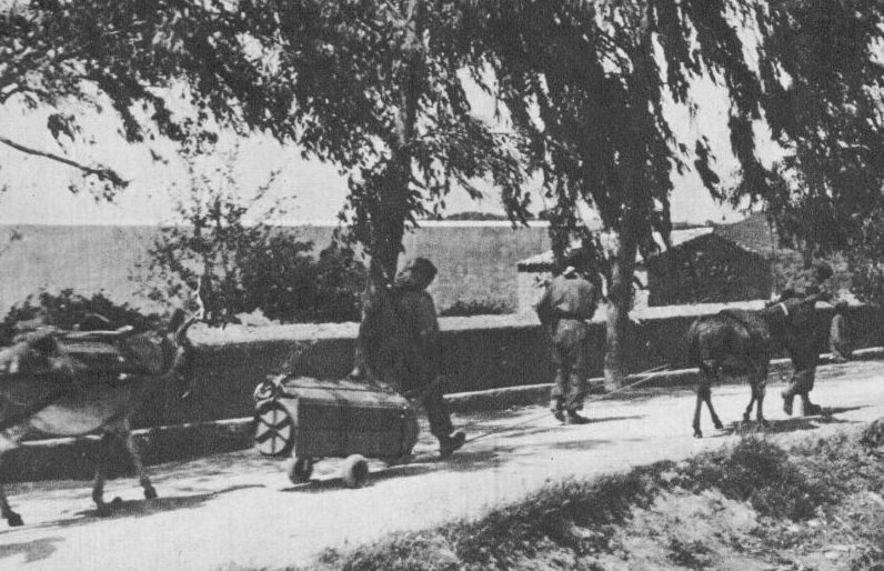 Немецкие парашютисты на Крите перевозят снаряды для орудий. Май 1941 г.