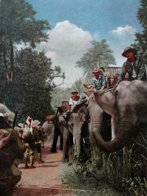 Слоны в японской армии. Бирма 1942 г. 