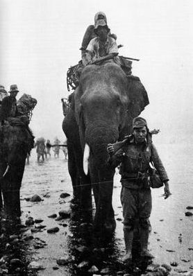 Слоны в японской армии. Бирма 1942 г. 