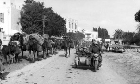 Немецкие десантники в деревне Туниса. Ноябрь 1942 г.