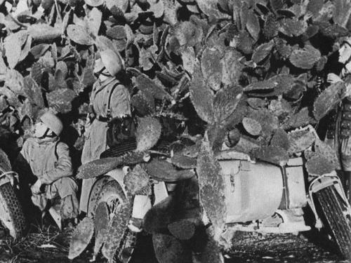 Немецкие десантники с мотоциклом в зарослях кактусов. Северная Африка, 1942 г.
