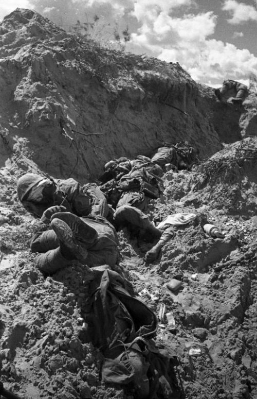 Тела японских солдат в окопе, погибших во время боев на Халхин-Голе. 1939 г.