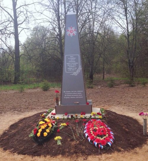 д. Долгое Гагаринского р-на. Памятник на братской могиле советских воинов.