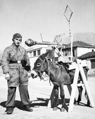 Секретное оружие десантника Третьего рейха. Италия, 1943 г. 