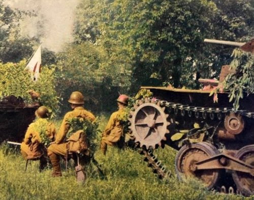 Японская армия во время вторжения в Малаю. 1942 г.