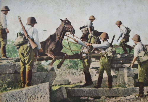 Кавалерийский полк во время вторжения в Индокитай. 1940 г.