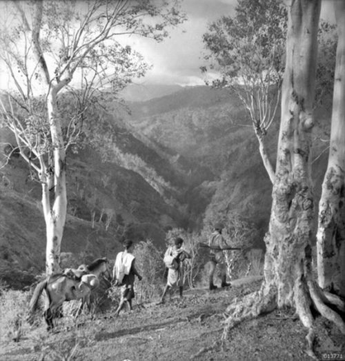 Австралийские партизаны на Тиморе.