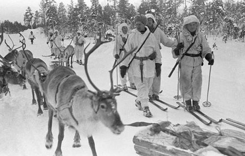 Финский лыжный патруль с оленями в районе Янискоски. 20 февраля 1940 г.