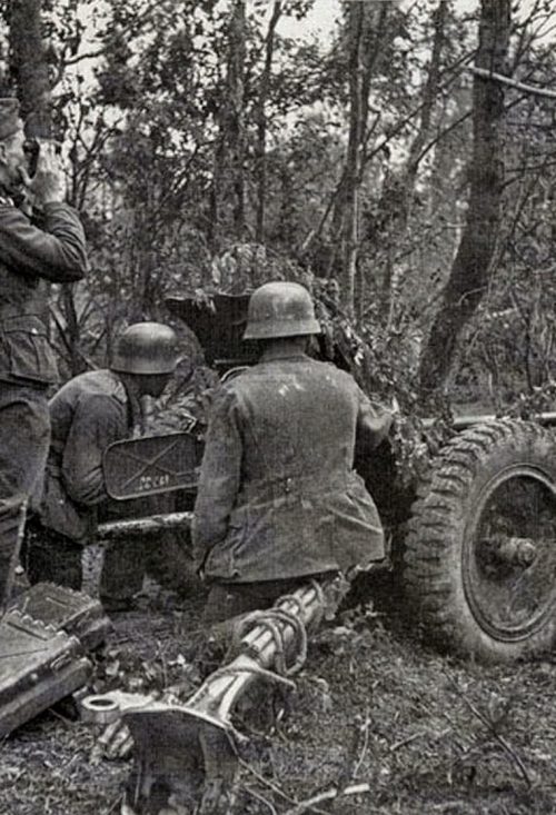 Противотанковая артиллерия у Волхова. 1942 г.