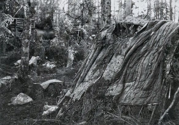 Немецкие блиндажи и шалаши на Волховском фронте. Август 1942 г. 