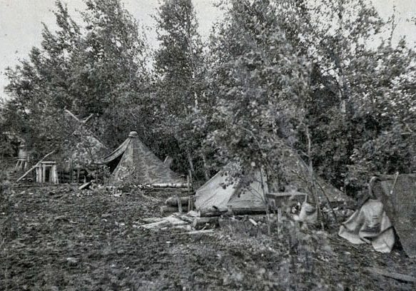 Немецкие палатки в Волховском лесу. 1942 г.