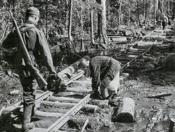 Немецкая узкоколейка в Волховском лесу. 1942 г.