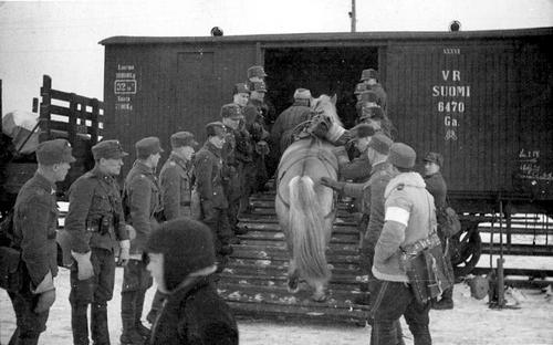 Финские солдаты грузят лошадей в железнодорожный вагон. 1942 г.