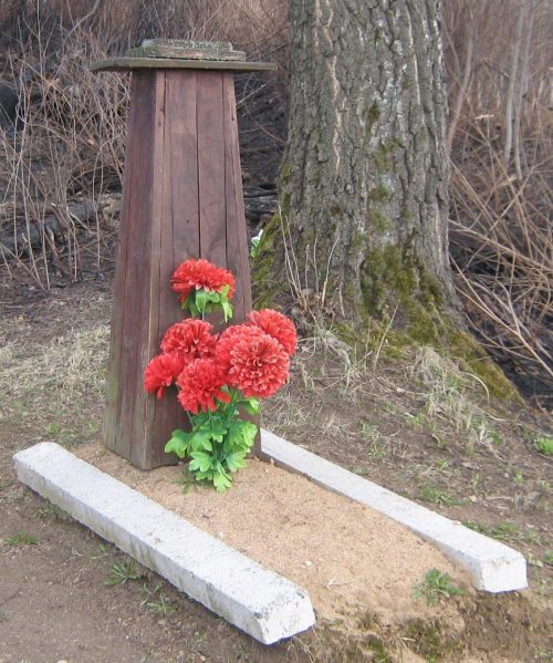д. Молево Руднянского р-на. Могила неизвестного солдата на деревенском кладбище.