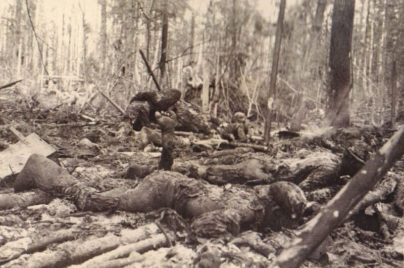 Тела погибших красноармейцев, брошенные в районе Волхова. 1942 г.
