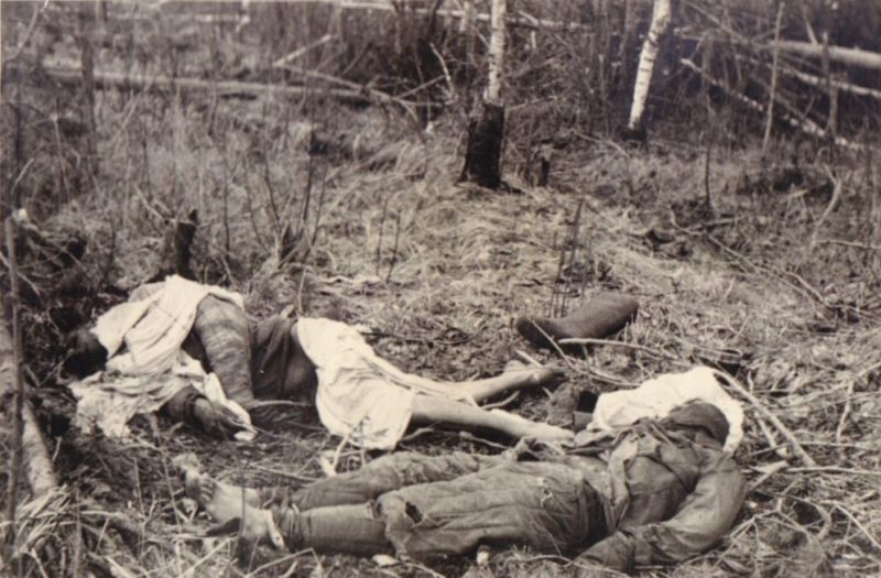Тела погибших красноармейцев, брошенные в районе Волхова. 1942 г.