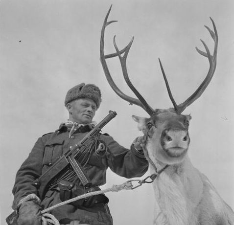 Финский воин в Лапландии. 4 мая 1944 г.