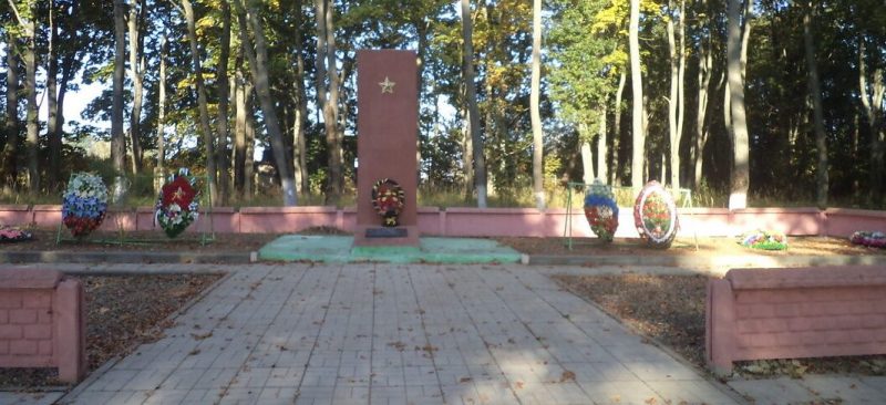 д. Трегубовка Руднянского р-на. Мемориал, установленный на братской могиле, в которой похоронено 247 воинов и партизан, павших в годы войны.