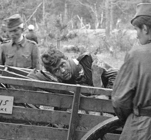 Раненый солдат на конной повозке. Туулос, 27 июня 1944 г.