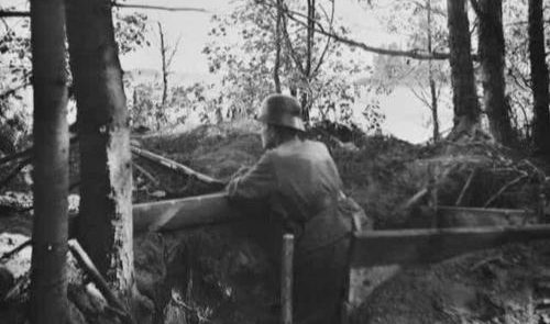 Финский солдат в Выборгском заливе. Июль 1944 г.