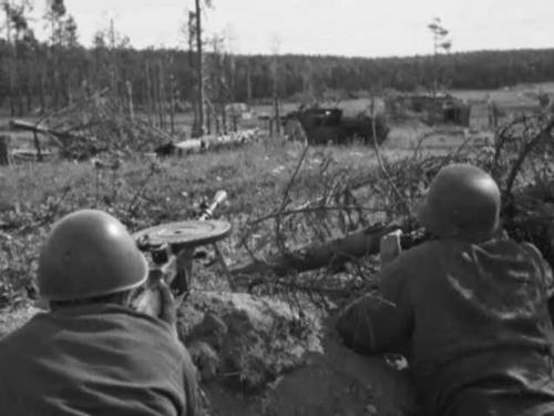 Финский солдат в Выборгском заливе. Июль 1944 г.
