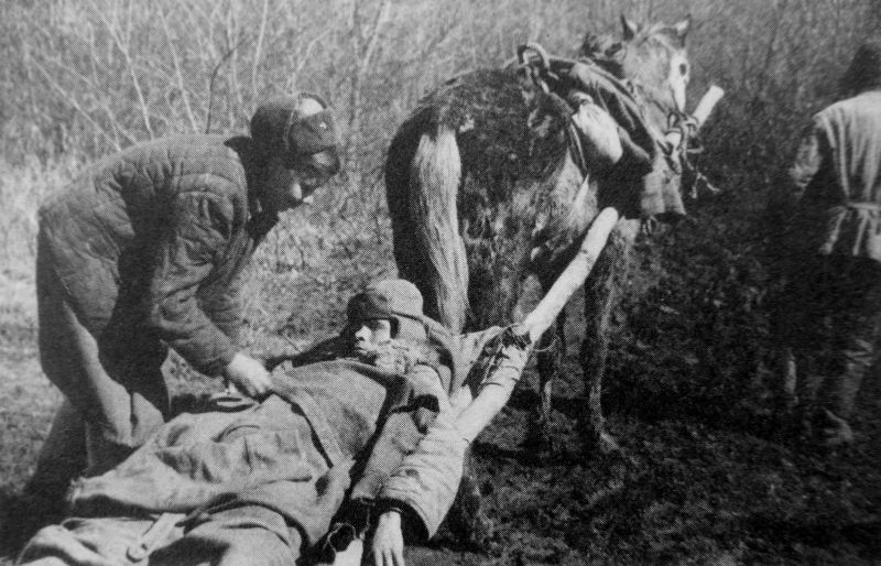 Военфельдшер Анастасия Шумилова у раненого бойца на конной волокуше. Северо-Кавказский фронт. 