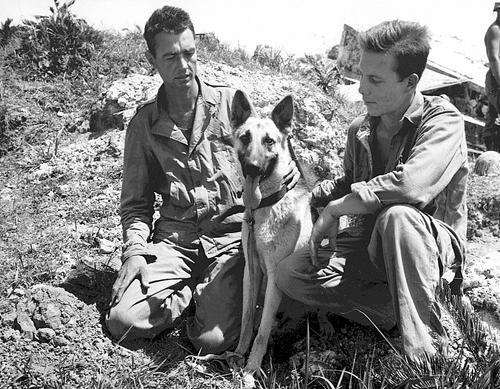 Пехотинцы с боевой собакой по имени «Мотобу» на Окинаве. 1945 г. 