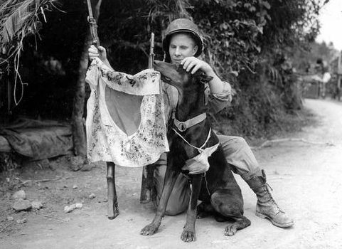 Морской пехотинец Гарольд Флэгг и его доберман-пинчер по имени Бой с захваченным японским флагом на острове Окинава. Апрель 1945 г.