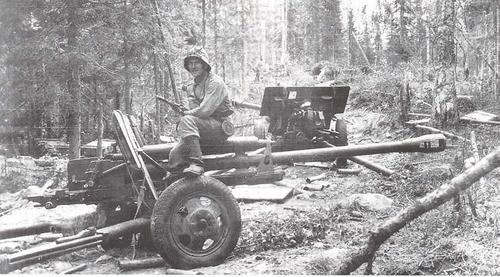 Захваченные советские орудия в Иломанци. 1944 г. 