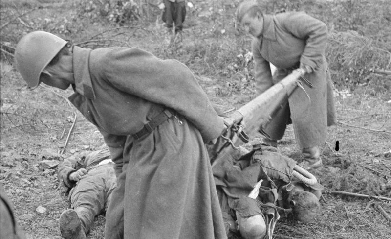 Пленные красноармейцы собирают тела товарищей, погибших во время боев под Выборгом. Сентябрь 1941 г.