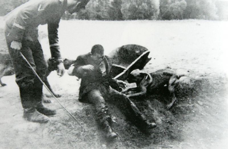 Охранник лагеря травит собаками военнопленного. 1941 г. 