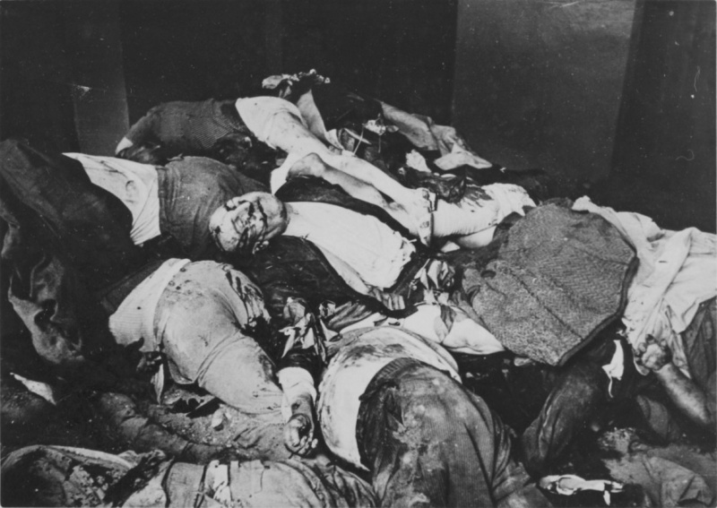 Жертвы погрома. 1-2 июля 1941 г. 